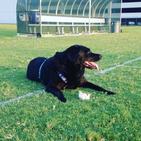 Meet your Posher, Virginia - Picture 2 of 3